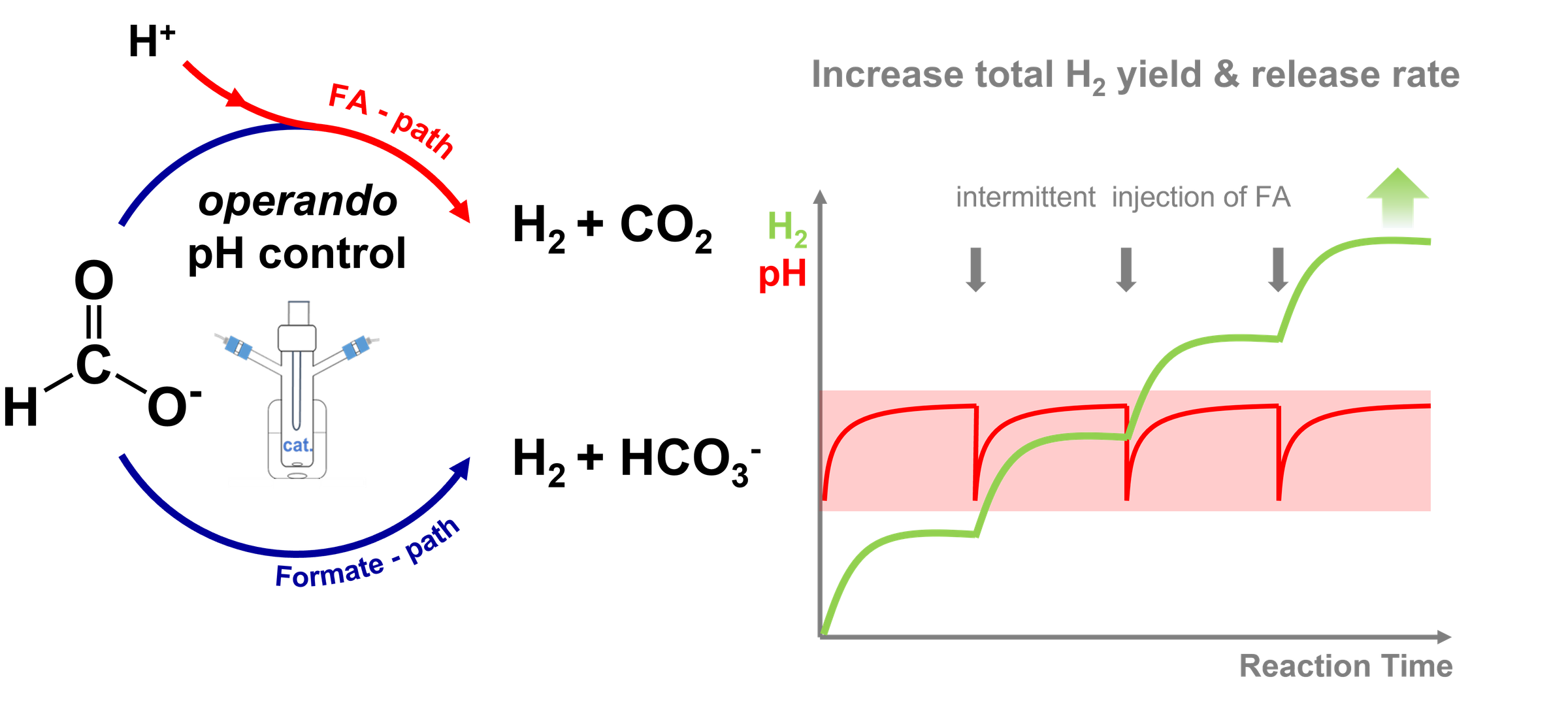 Efficient H₂ from Formic Acid / Formate schematic